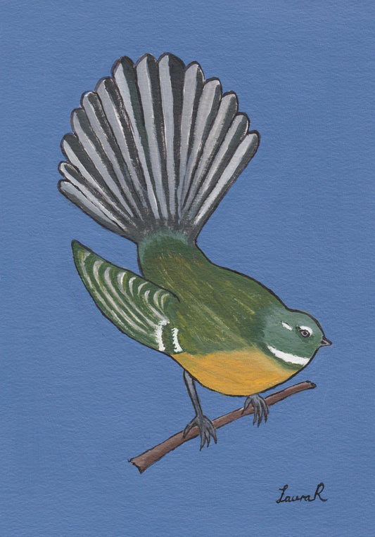 Blue fantail
