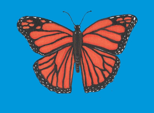 Monarch